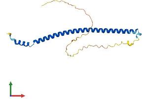 AlphaFold protein structure predicition of Human Recombinant KXD1 Protein, UniprotID Q9BQD3