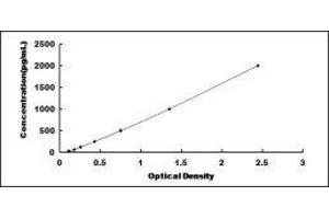 ELISA image for Interleukin 1 Receptor Antagonist (IL1RN) ELISA Kit (ABIN414000)
