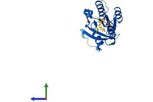 AlphaFold protein structure predicition of Human Recombinant NKIRAS1 Protein, UniprotID Q9NYS0