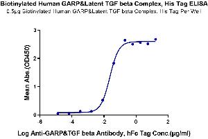 Immobilized Biotinylated Human GARP&Latent TGF beta Complex, His Tag at 5 μg/mL (100 μL/Well) on the plate.