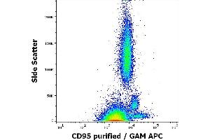Flow cytometry surface staining pattern of human peripheral whole blood stained using anti-human CD95 (LT95) purified antibody (concentration in sample 2 μg/mL) GAM APC. (FAS anticorps)