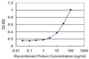 Detection limit for recombinant GST tagged DCK is 1 ng/ml as a capture antibody. (DCK anticorps  (AA 161-260))