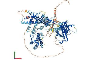 AlphaFold protein structure predicition of Human Recombinant KAT2B Protein, UniprotID Q92831