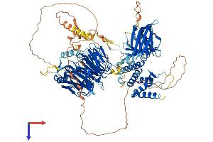AlphaFold protein structure predicition of Mouse Recombinant Hira Protein, UniprotID Q61666