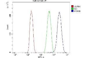 Flow Cytometry analysis of A431 cells using anti-non-muscle Myosin IIB/MYH10 antibody (ABIN7603186). (MYH10 anticorps  (N-Term))