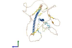 AlphaFold protein structure predicition of Human Recombinant MSL1 Protein, UniprotID Q68DK7
