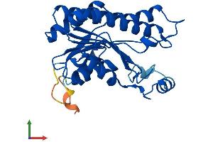 AlphaFold protein structure predicition of Human Recombinant HSD17B8 Protein, UniprotID Q92506