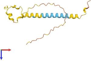 AlphaFold protein structure predicition of Human Recombinant NKAPP1 Protein, UniprotID Q8N9T2