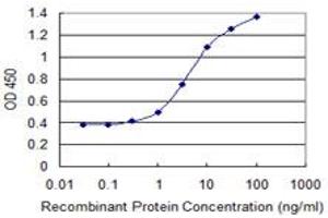 Detection limit for recombinant GST tagged ZNF71 is 0. (ZNF71 anticorps  (AA 1-100))