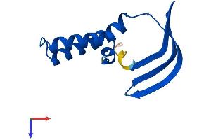 AlphaFold protein structure predicition of Mouse Recombinant Gtf2a2 Protein, UniprotID Q80ZM7