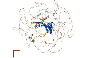 AlphaFold protein structure predicition of Mouse Recombinant Aff3 Protein, UniprotID P51827