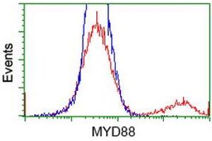 HEK293T cells transfected with either RC202253 overexpress plasmid (Red) or empty vector control plasmid (Blue) were immunostained by anti-MYD88 antibody (ABIN2453986), and then analyzed by flow cytometry. (MYD88 anticorps)