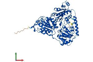 AlphaFold protein structure predicition of Human Recombinant HACL1 Protein, UniprotID Q9UJ83