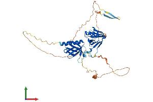 AlphaFold protein structure predicition of Human Recombinant PLEKHA2 Protein, UniprotID Q9HB19