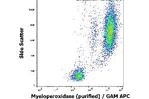 Flow cytometry intracellular staining pattern of human peripheral whole blood stained using anti-human Myeloperoxidase (MPO421-8B2) purified antibody (concentration in sample 1 μg/mL) GAM APC. (Myeloperoxidase anticorps)