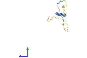 AlphaFold protein structure predicition of Human Recombinant SCIMP Protein, UniprotID Q6UWF3