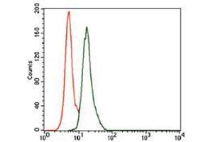 Flow cytometric analysis of A549 cells using Splunc2 mouse mAb (green) and negative control (red).