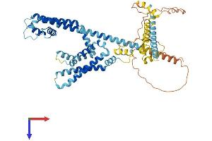 AlphaFold protein structure predicition of Human Recombinant CATSPER2 Protein, UniprotID Q96P56