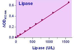 Biochemical Assay (BCA) image for Lipase Assay Kit (ABIN1000274) (Lipase Assay Kit)