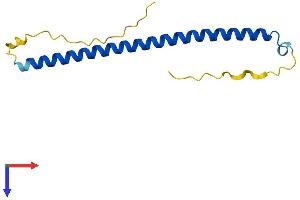 AlphaFold protein structure predicition of Human Recombinant BATF3 Protein, UniprotID Q9NR55