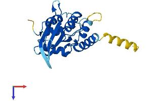 AlphaFold protein structure predicition of Human Recombinant AICDA Protein, UniprotID Q9GZX7