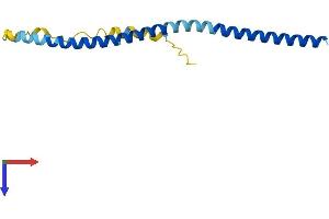 AlphaFold protein structure predicition of Human Recombinant VAMP4 Protein, UniprotID O75379