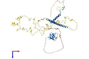 AlphaFold protein structure predicition of Mouse Recombinant Cttn Protein, UniprotID Q60598