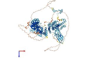 AlphaFold protein structure predicition of Mouse Recombinant Ap4e1 Protein, UniprotID Q80V94