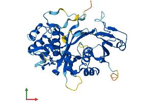 AlphaFold protein structure predicition of Mouse Recombinant Nudt19 Protein, UniprotID P11930