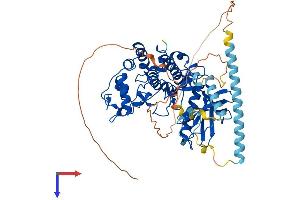 AlphaFold protein structure predicition of Human Recombinant SRPK3 Protein, UniprotID Q9UPE1