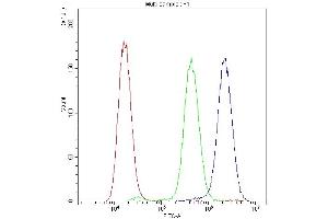 Flow Cytometry analysis of A549 cells using anti-ADO antibody (ABIN4886431). (ADO anticorps  (AA 49-261))