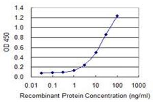 Detection limit for recombinant GST tagged MBD1 is 0. (MBD1 anticorps  (AA 415-508))