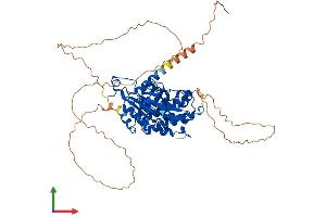 AlphaFold protein structure predicition of Human Recombinant CDC7 Protein, UniprotID O00311