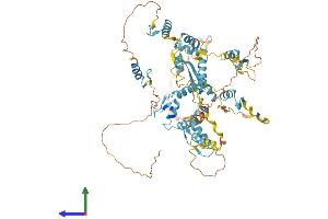 AlphaFold protein structure predicition of Human Recombinant ZNF526 Protein, UniprotID Q8TF50