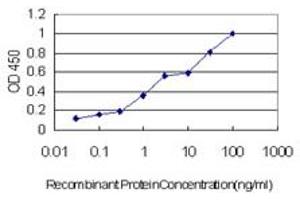 Detection limit for recombinant GST tagged STX1A is approximately 0.