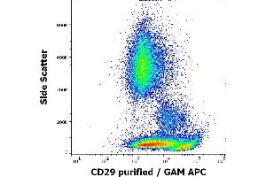 Flow cytometry surface staining pattern of human peripheral whole blood stained using anti-human CD29 (MEM-101A) purified antibody (concentration in sample 3 μg/mL) GAM APC.
