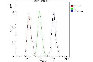 anti-SWI/SNF Related, Matrix Associated, Actin Dependent Regulator of Chromatin, Subfamily A, Member 4 (SMARCA4) (AA 555-763) antibody