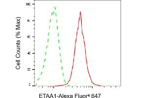 Flow cytometric analysis of ETAA1 expression in HepG2 cells using ETAA1 antibody (ABIN7798538), 1:2,000). (Recombinant ETAA1 anticorps)