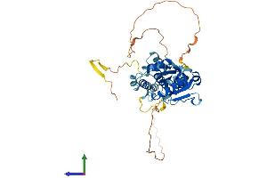 AlphaFold protein structure predicition of Mouse Recombinant Dusp7 Protein, UniprotID Q91Z46