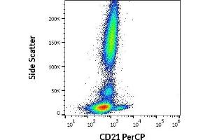 Flow cytometry surface staining pattern of human peripheral whole blood stained using anti-human CD21 (LT21) PerCP antibody (10 μL reagent / 100 μL of peripheral whole blood). (CD21 anticorps  (PerCP))