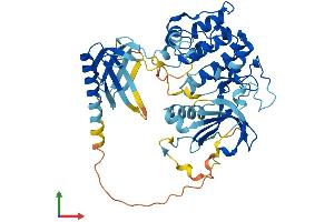 AlphaFold protein structure predicition of Mouse Recombinant Akt1 Protein, UniprotID P31750