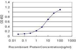 Detection limit for recombinant GST tagged DUSP5 is approximately 0. (DUSP5 anticorps  (AA 286-384))