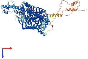 AlphaFold protein structure predicition of Human Recombinant SLC6A16 Protein, UniprotID Q9GZN6