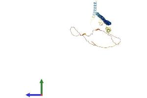 AlphaFold protein structure predicition of Human Recombinant DTNBP1 Protein, UniprotID Q96EV8