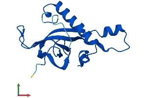 AlphaFold protein structure predicition of Human Recombinant RPL27 Protein, UniprotID P61353