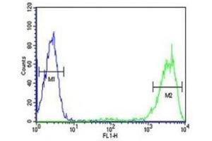 Rab5 antibody flow cytometric analysis of HL-60 cells (right histogram) compared to a negative control (left histogram).