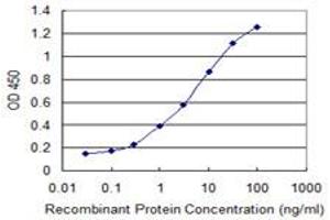 Detection limit for recombinant GST tagged SUPT16H is 0. (SUPT16H anticorps  (AA 608-715))
