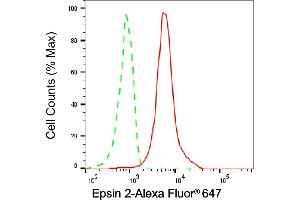 Flow cytometric analysis of Epsin 2 expression in HeLa cells using Epsin 2 antibody (ABIN7798489), 1:1,000). (Epsin 2 anticorps)
