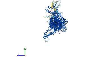 AlphaFold protein structure predicition of Mouse Recombinant Cyfip1 Protein, UniprotID Q7TMB8