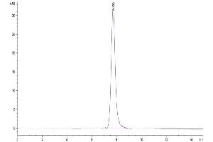 The purity of Mouse TEM7R is greater than 95 % as determined by SEC-HPLC. (PLXDC2 Protein (AA 31-455) (His tag))